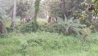 গোমস্তাপুর সীমান্তে ২৮ জনকে পুশইনের চেষ্টা।। জিরো লাইনে অবস্থান